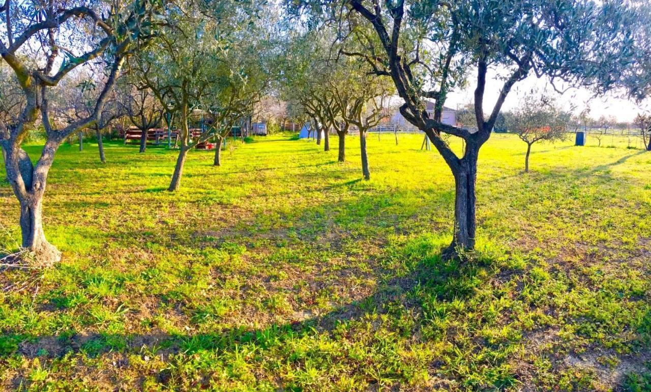 O.k. Corral Campsite Misano Adriatico