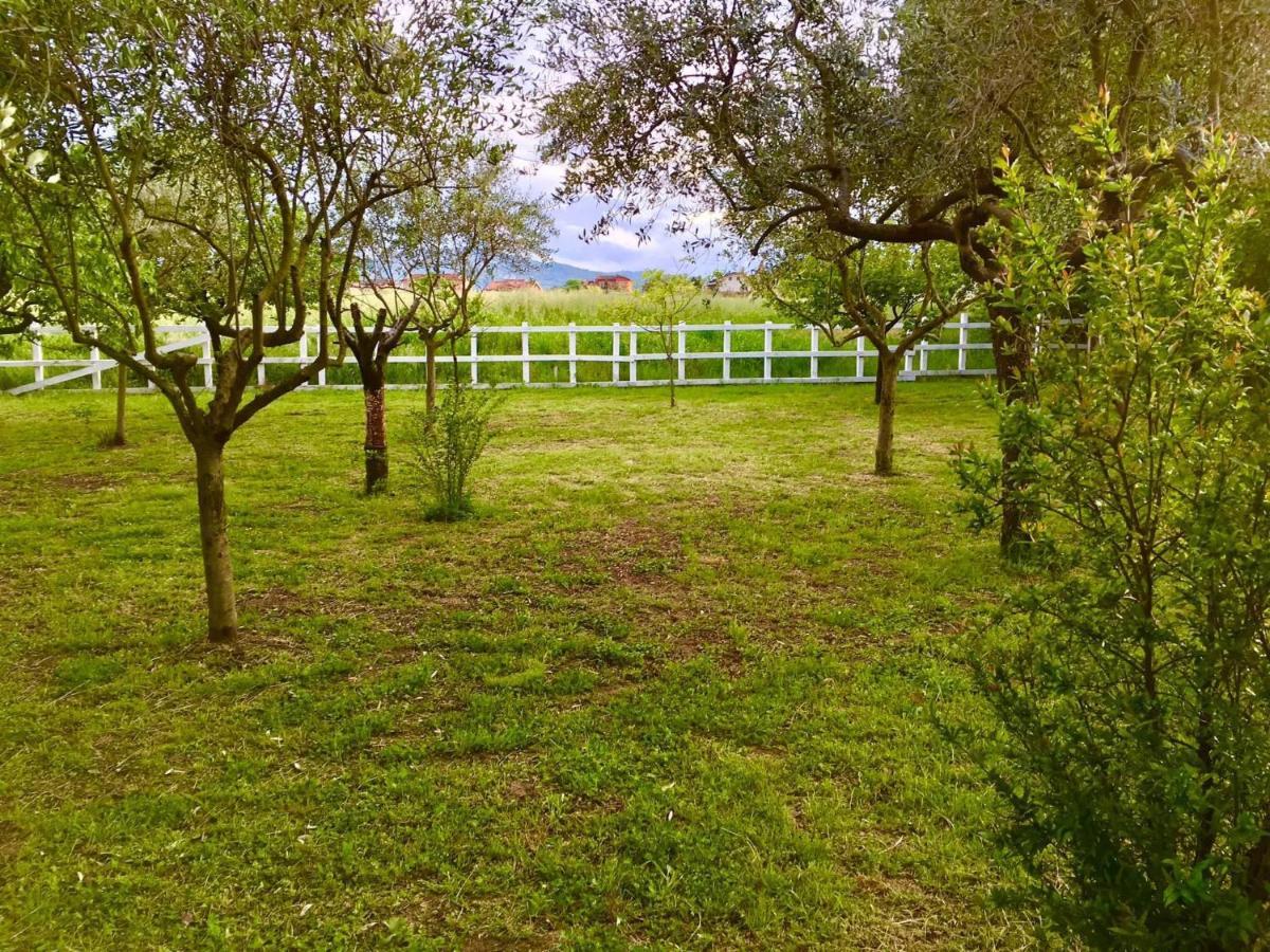 O.k. Corral Campsite Misano Adriatico