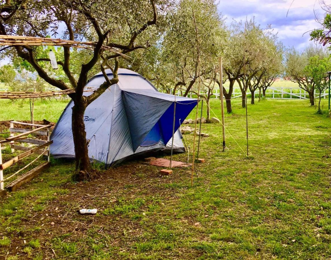 Camping O.k. Corral